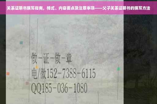 关系证明书撰写指南，格式、内容要点及注意事项——父子关系证明书的撰写方法