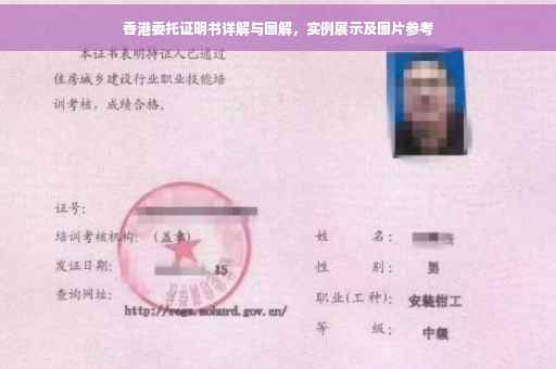 香港委托证明书详解与图解，实例展示及图片参考