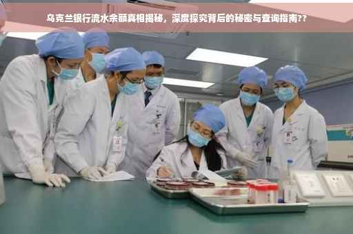 乌克兰银行流水余额真相揭秘，深度探究背后的秘密与查询指南??