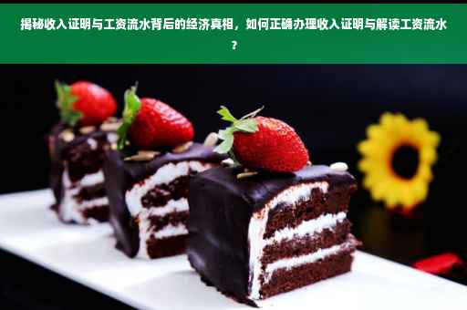 揭秘收入证明与工资流水背后的经济真相，如何正确办理收入证明与解读工资流水？
