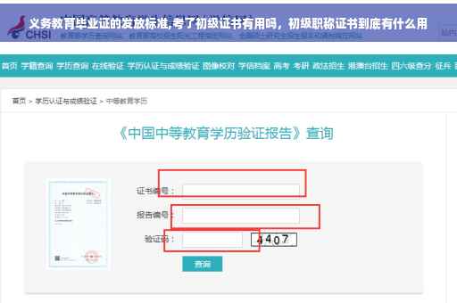 义务教育毕业证的发放标准,考了初级证书有用吗,初级职称证书到底有什么用 义务教育毕业证的发放标准,考了初级证书有用吗,初级职称证书到底有什么用