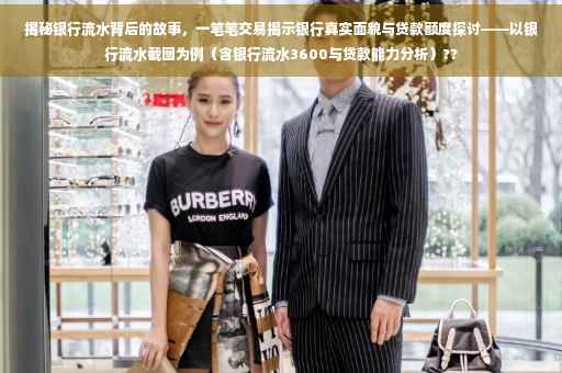 揭秘银行流水背后的故事，一笔笔交易揭示银行真实面貌与贷款额度探讨——以银行流水截图为例（含银行流水3600与贷款能力分析）??