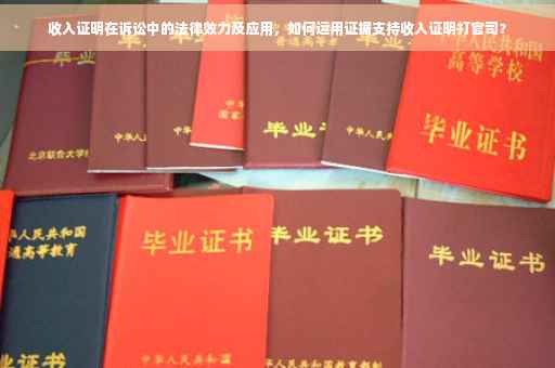 收入证明在诉讼中的法律效力及应用，如何运用证据支持收入证明打官司？