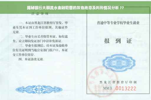 揭秘银行大额流水金融犯罪的灰色地带及判刑情况分析 ??