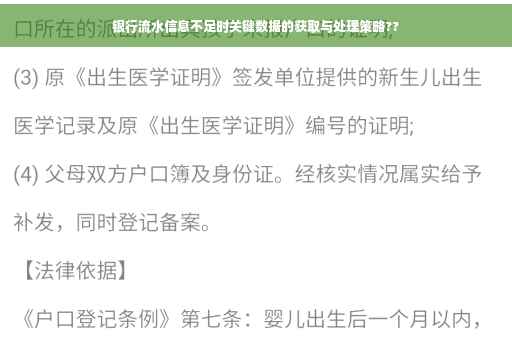 银行流水信息不足时关键数据的获取与处理策略??