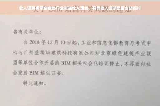 收入证明揭示自媒体行业真实收入面貌，开具收入证明是否合法探讨