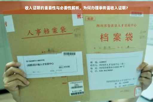 收入证明的重要性与必要性解析，为何办理事务需收入证明？