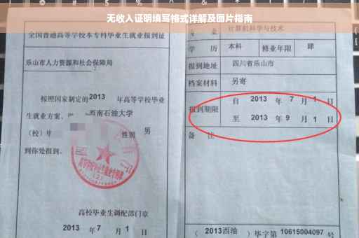无收入证明填写格式详解及图片指南