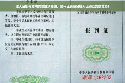 收入证明模板与党费缴纳指南，如何正确填写收入证明以交纳党费？