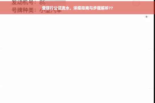 查银行公证流水，详细指南与步骤解析??