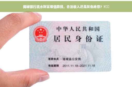 揭秘银行流水财富增值路径，合法收入还是灰色地带？?⚡️