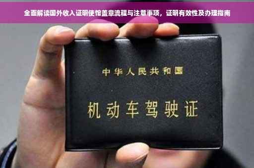 全面解读国外收入证明使馆盖章流程与注意事项，证明有效性及办理指南