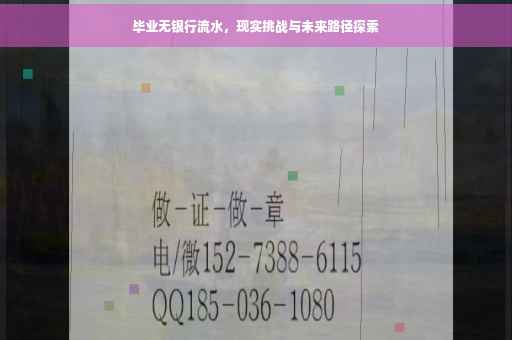 毕业无银行流水，现实挑战与未来路径探索