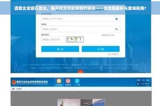 调查企业银行流水，揭开经济活动真相的秘诀——全流程解析与查询指南?