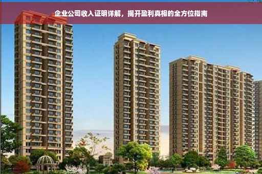 企业公司收入证明详解，揭开盈利真相的全方位指南