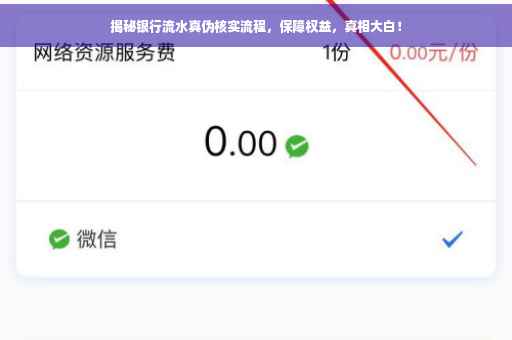 揭秘银行流水真伪核实流程，保障权益，真相大白！