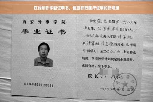 在线制作诊断证明书，便捷获取医疗证明的新途径