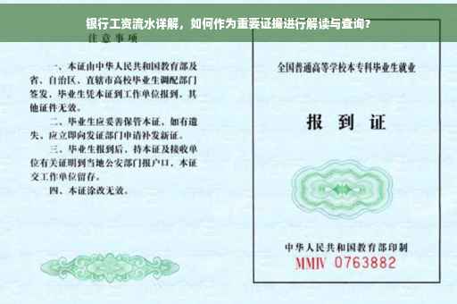 银行工资流水详解，如何作为重要证据进行解读与查询？