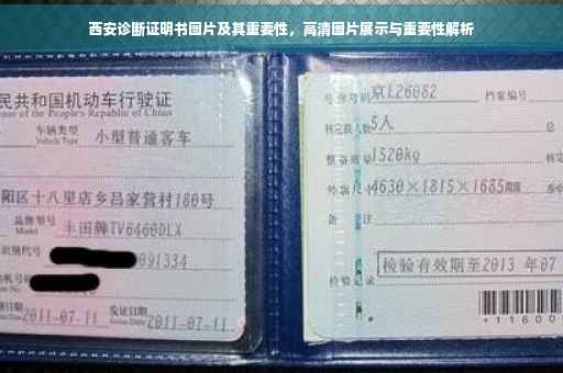 西安诊断证明书图片及其重要性，高清图片展示与重要性解析