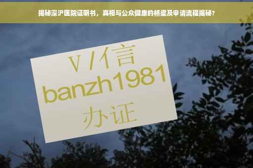揭秘深沪医院证明书，真相与公众健康的桥梁及申请流程揭秘?