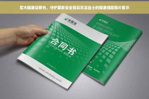 军犬健康证明书，守护国家安全背后无言战士的健康保障图片展示