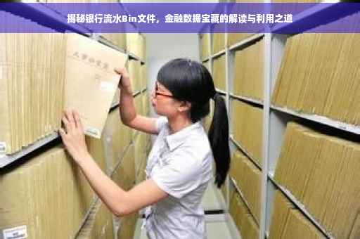 揭秘银行流水Bin文件，金融数据宝藏的解读与利用之道