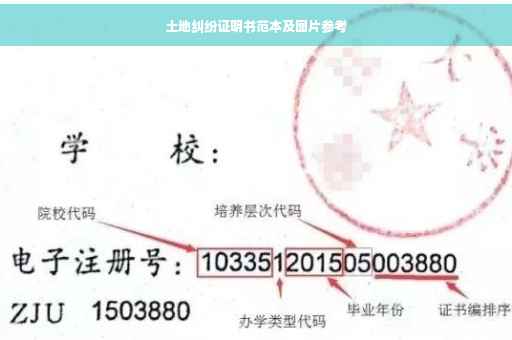 土地纠纷证明书范本及图片参考