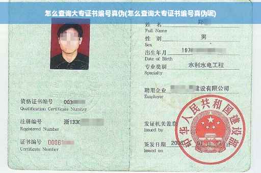 怎么查询大专证书编号真伪(怎么查询大专证书编号真伪呢)
