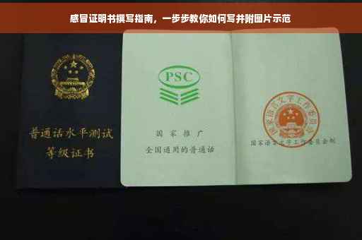 感冒证明书撰写指南，一步步教你如何写并附图片示范