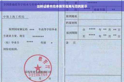 出样证明书范本撰写指南与范例展示