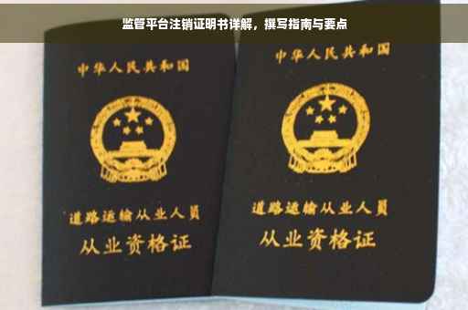 监管平台注销证明书详解，撰写指南与要点