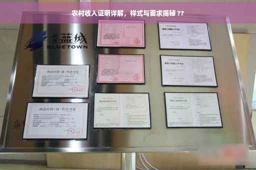 农村收入证明详解，样式与要求揭秘 ??