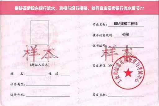 揭秘买房股东银行流水，真相与细节揭秘，如何查询买房银行流水细节??