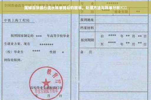 揭秘百张银行流水账单背后的故事，处理方法与账单分析?⚡️