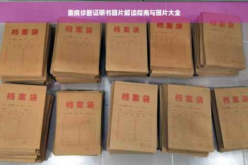 重病诊断证明书图片解读指南与图片大全