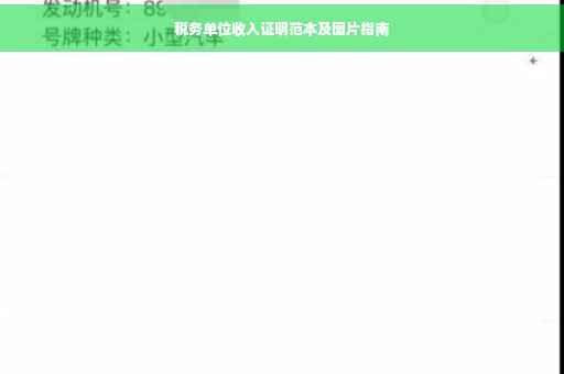 税务单位收入证明范本及图片指南