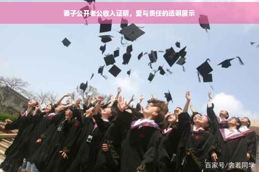 妻子公开老公收入证明，爱与责任的透明展示