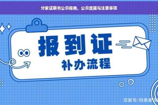分家证明书公示指南，公示流程与注意事项