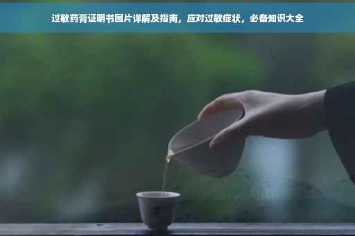 过敏药膏证明书图片详解及指南，应对过敏症状，必备知识大全