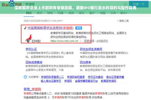 深度解析企业上市前财务审查流程，调查IPO银行流水的目的与操作指南