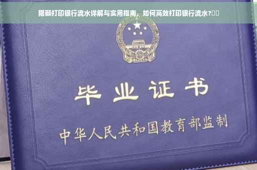 限额打印银行流水详解与实用指南，如何高效打印银行流水?⚡️