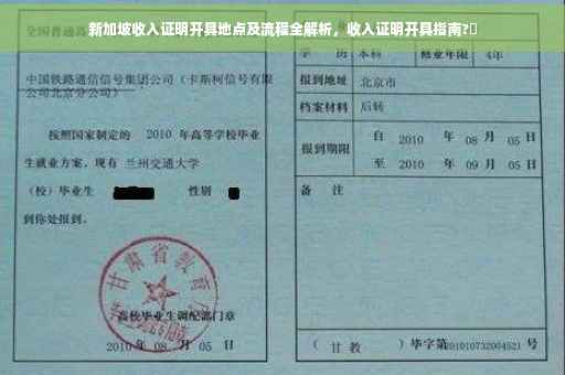 新加坡收入证明开具地点及流程全解析，收入证明开具指南?✨