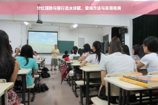 分红保险与银行流水详解，查询方法与实用指南