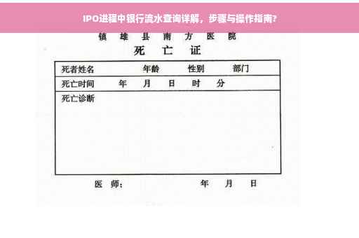 IPO进程中银行流水查询详解，步骤与操作指南?