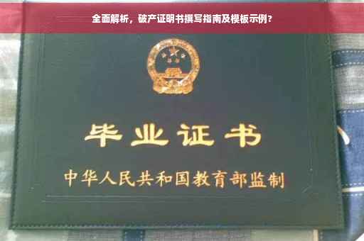全面解析，破产证明书撰写指南及模板示例?