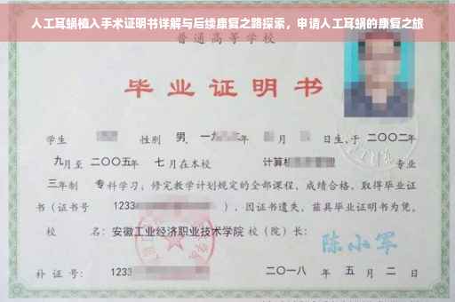 人工耳蜗植入手术证明书详解与后续康复之路探索，申请人工耳蜗的康复之旅