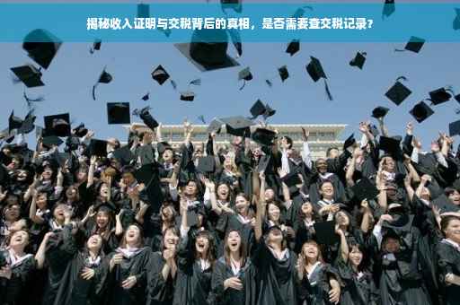 揭秘收入证明与交税背后的真相，是否需要查交税记录？