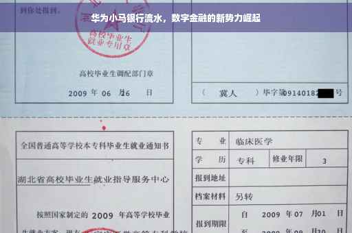 华为小马银行流水，数字金融的新势力崛起
