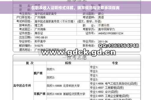 在职及收入证明格式详解，撰写规范与注意事项指南