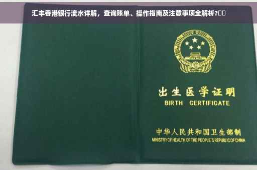 汇丰香港银行流水详解，查询账单、操作指南及注意事项全解析?⚡️
